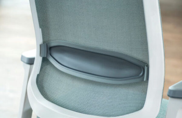 Assise ergonomique seflex