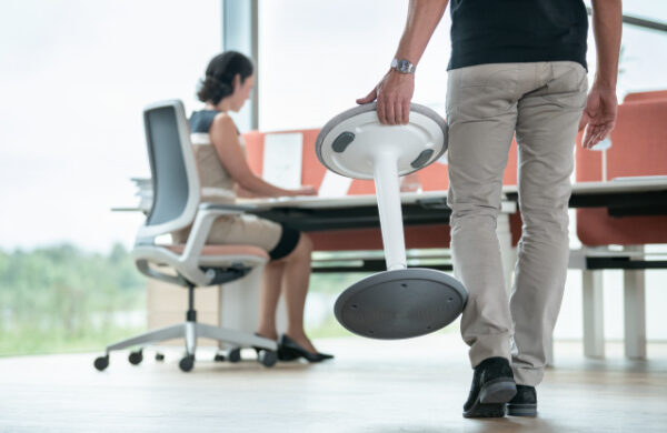 Sefit assise dynamique